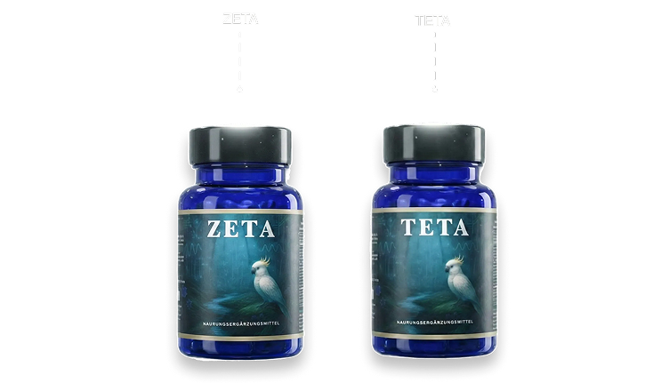 DS-01 and DM-02 Products